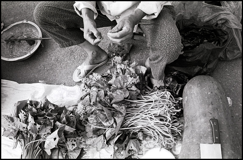 Mecato cina7 - ©copyright Marco Giardini